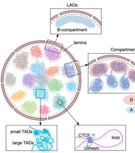 Click to read! Click to read!